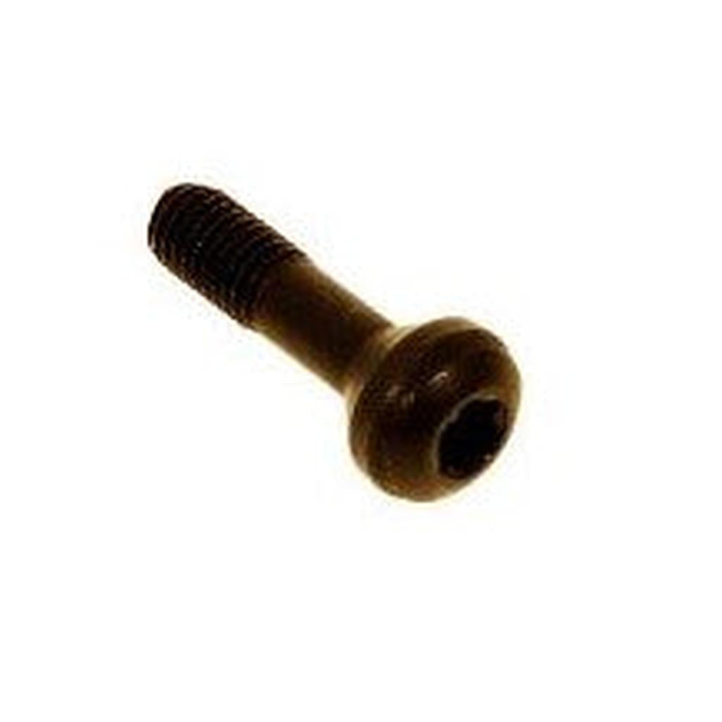 1984-1996 Corvette C4 Roof Rear Center Torx Attach Bolts
