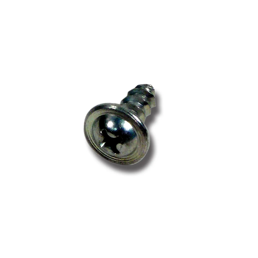 C2 1963-1967 Corvette Glove Box Door Striker Screws - Pair