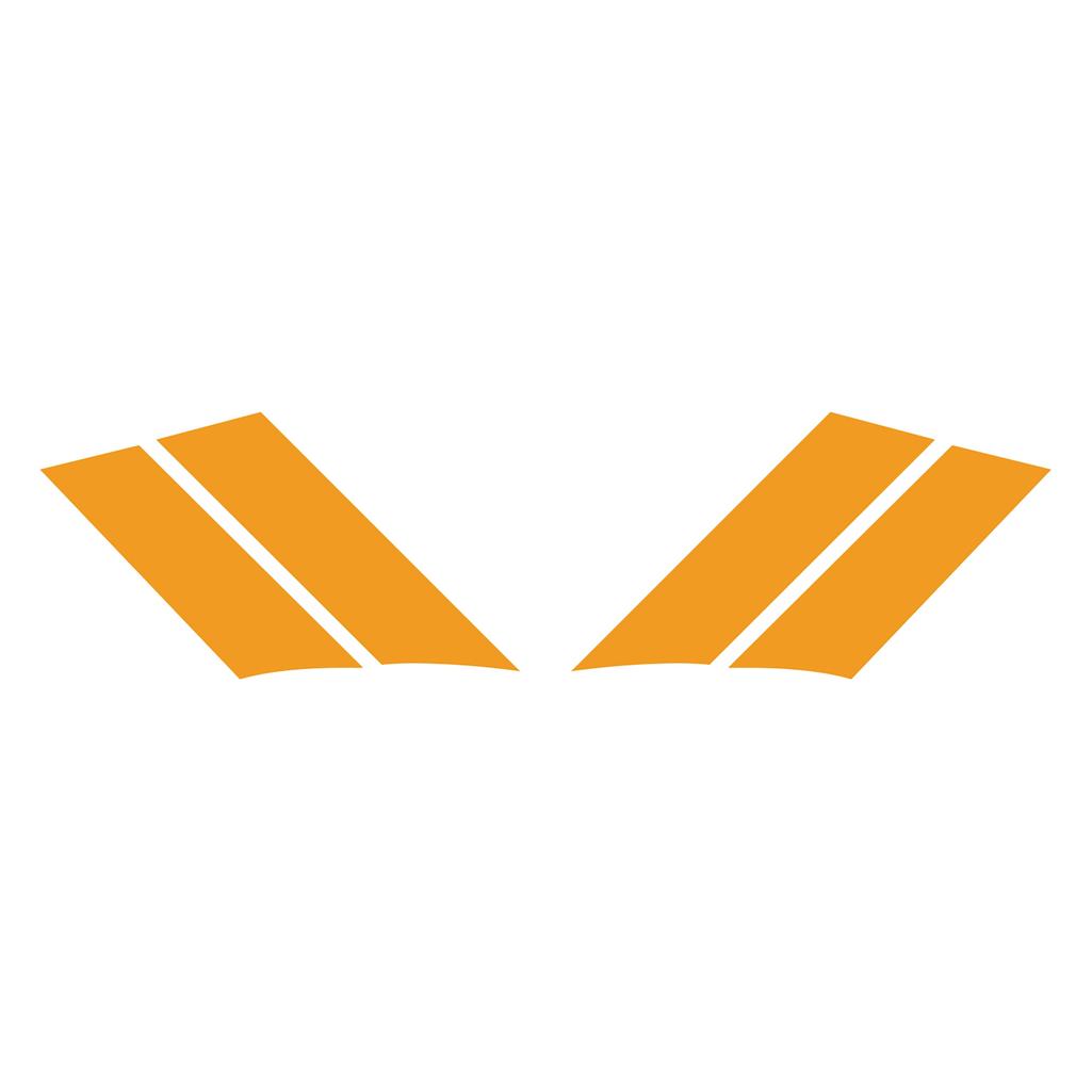 G.S. Fender Stripes - Both Sides (Pair) - Gloss Orange