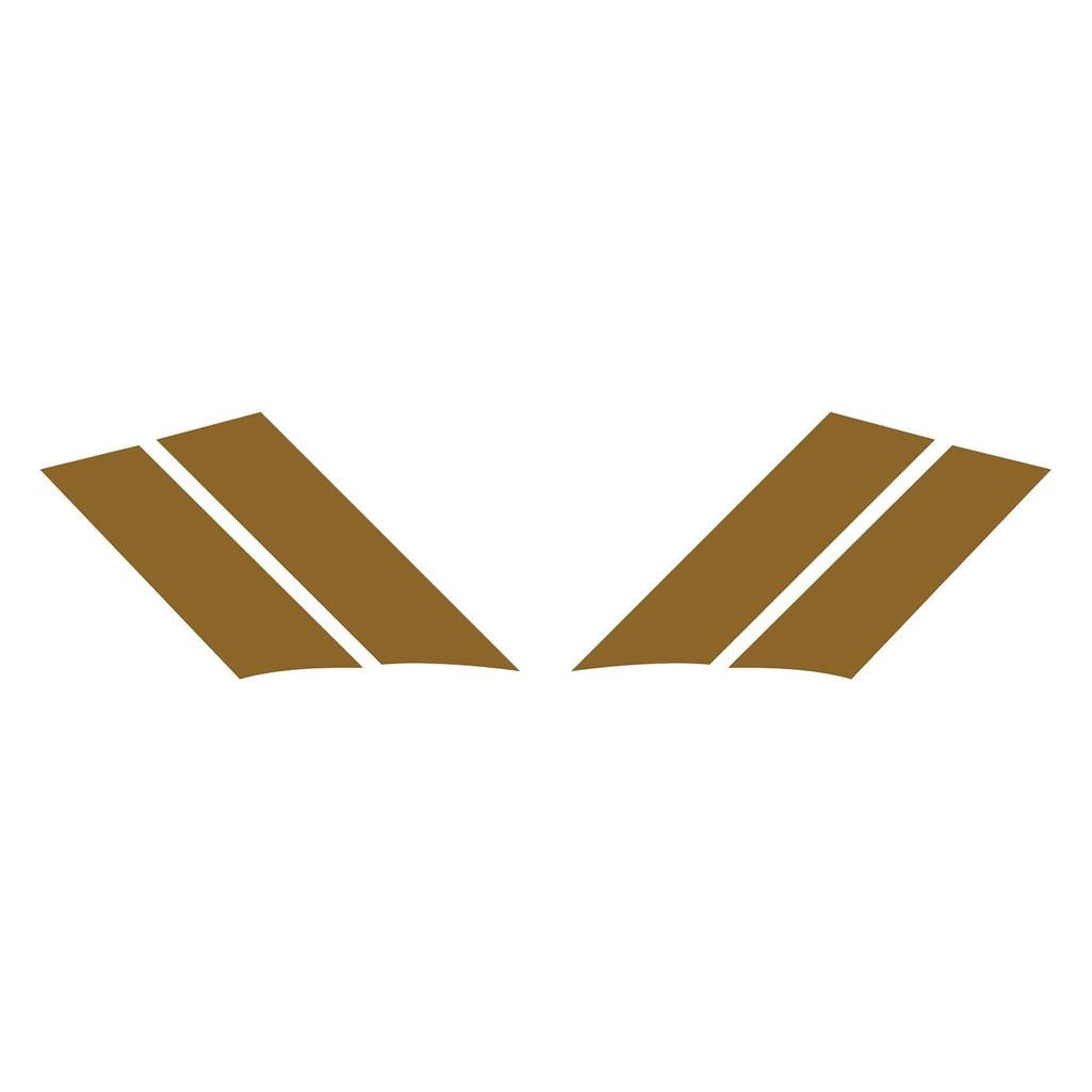 G.S. Fender Stripes - Both Sides (Pair) - Matte Gold