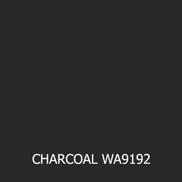 C4 1984-1996 Corvette Touch-Up Paint - Premium Kit