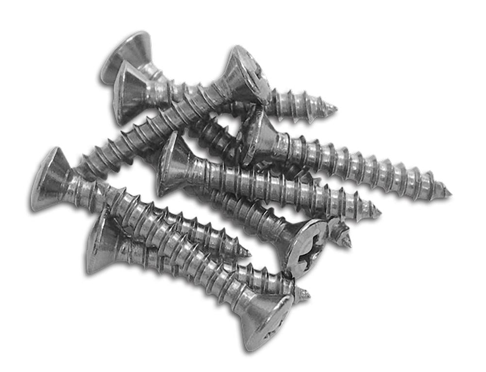 C1 1961-1962 Chevrolet Corvette Sill Plate Screw Set. 10 Piece