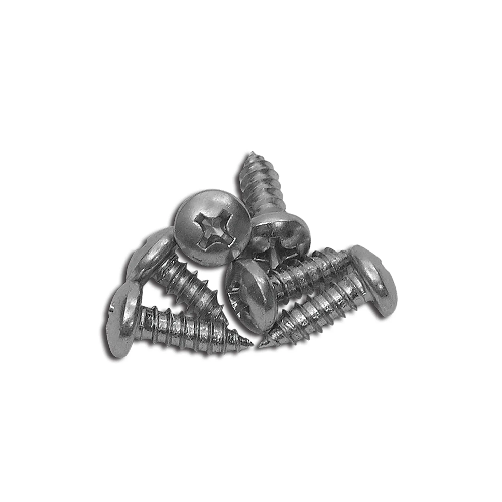 1969-1982 Corvette C3 Outer Door Window Trim Molding Screws - 6Pc