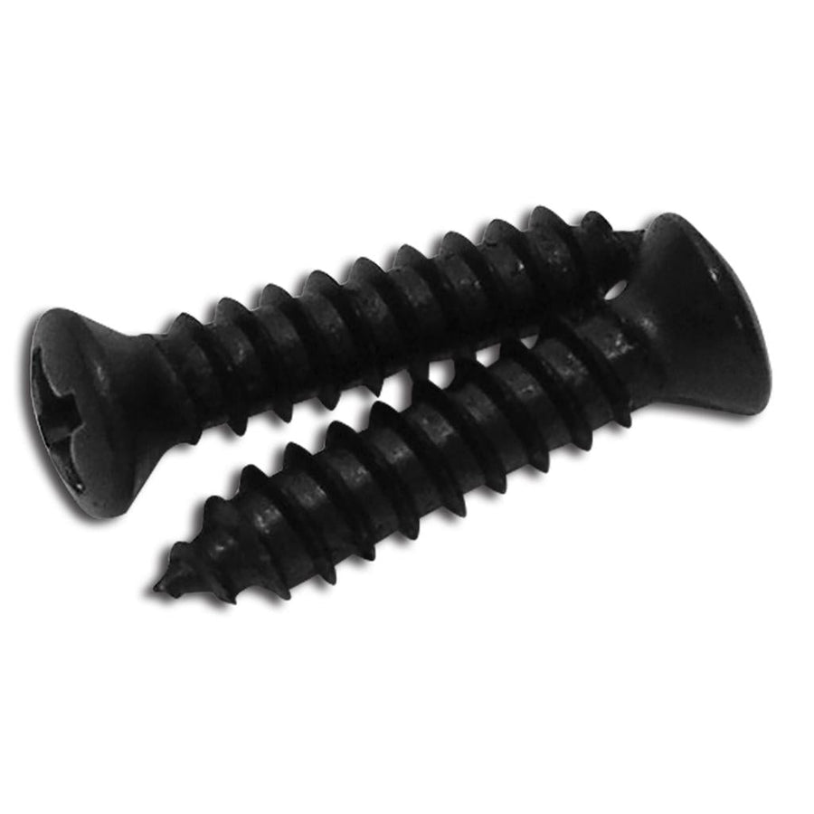 1984-1996 Corvette C4 Coupe Rear Window Compartment Tray Screws, 2 Piece