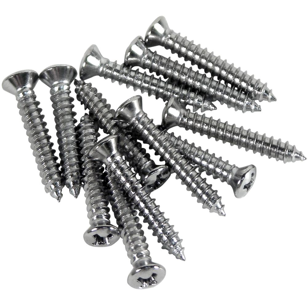 C1 1956-1957 Chevrolet Corvette Kick Panel Screws. 12 Piece Set