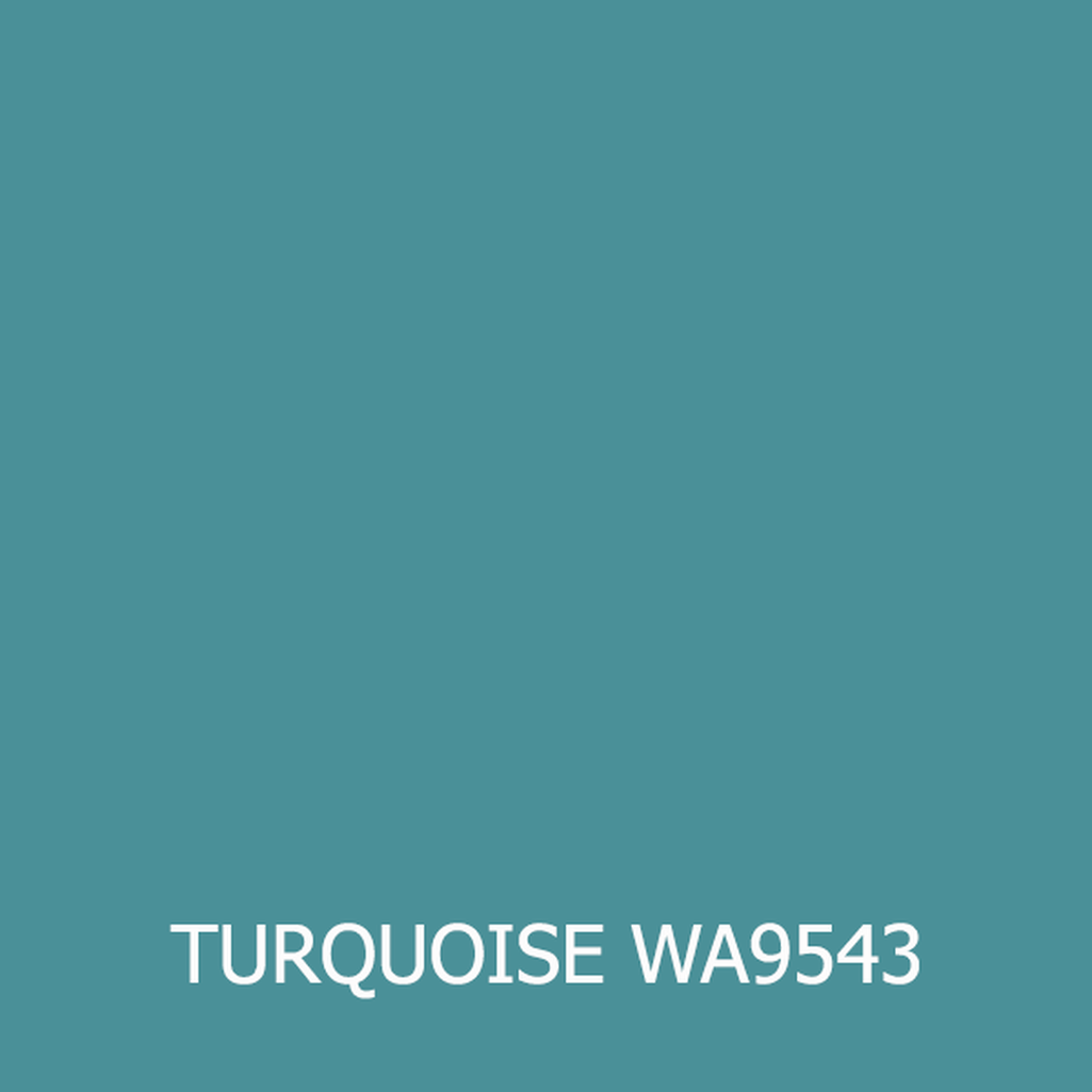 C4 1984-1996 Corvette Touch-Up Paint - Premium Kit