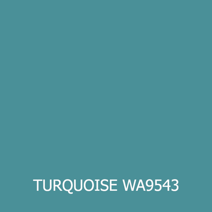 C4 1984-1996 Corvette Touch-Up Paint - Premium Kit