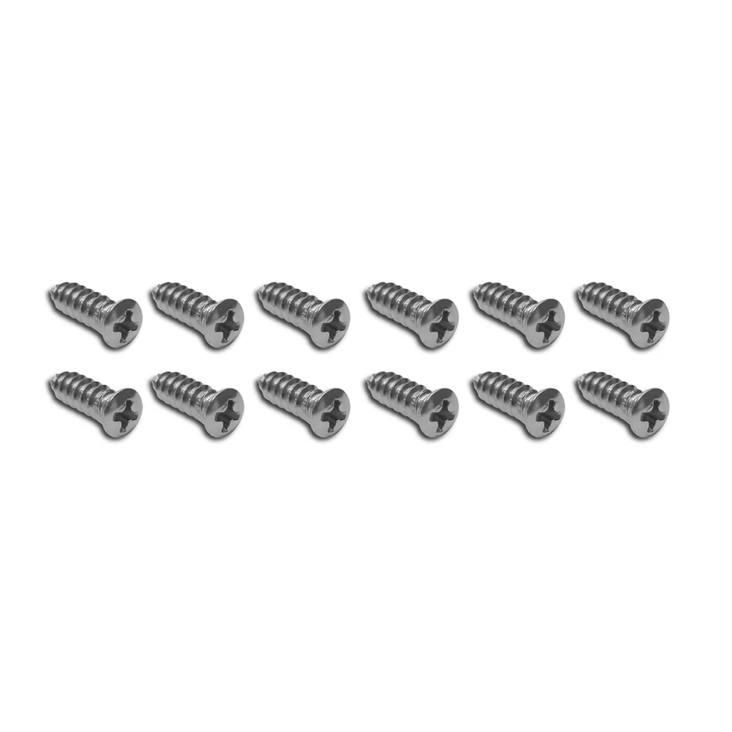 C2 1965-1967 Chevrolet Corvette Sill Plate Screw Set - 12Pc