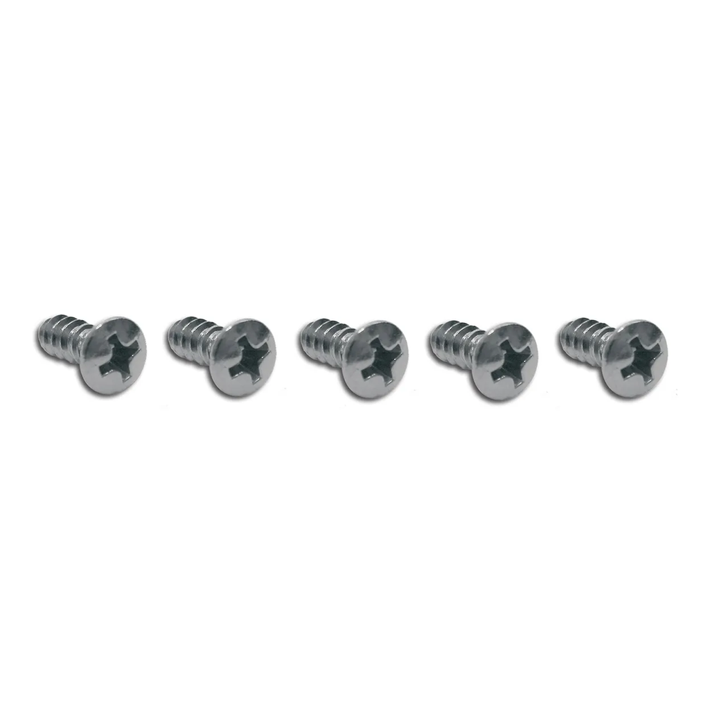 C2 1965-1967 Corvette Door Panel Clip Screws - 10Pc Set