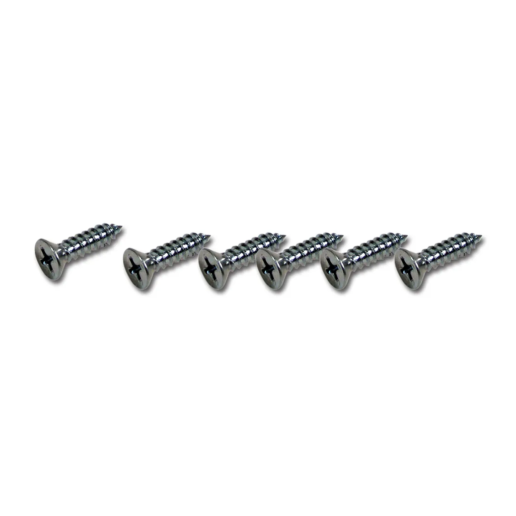 C2 1963-1967 Chevrolet Corvette Vent Grille Screw Set - 6Pc