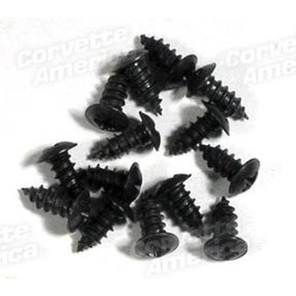 Corvette Weatherstrip Screw Set. Above Door On Body: 1963
