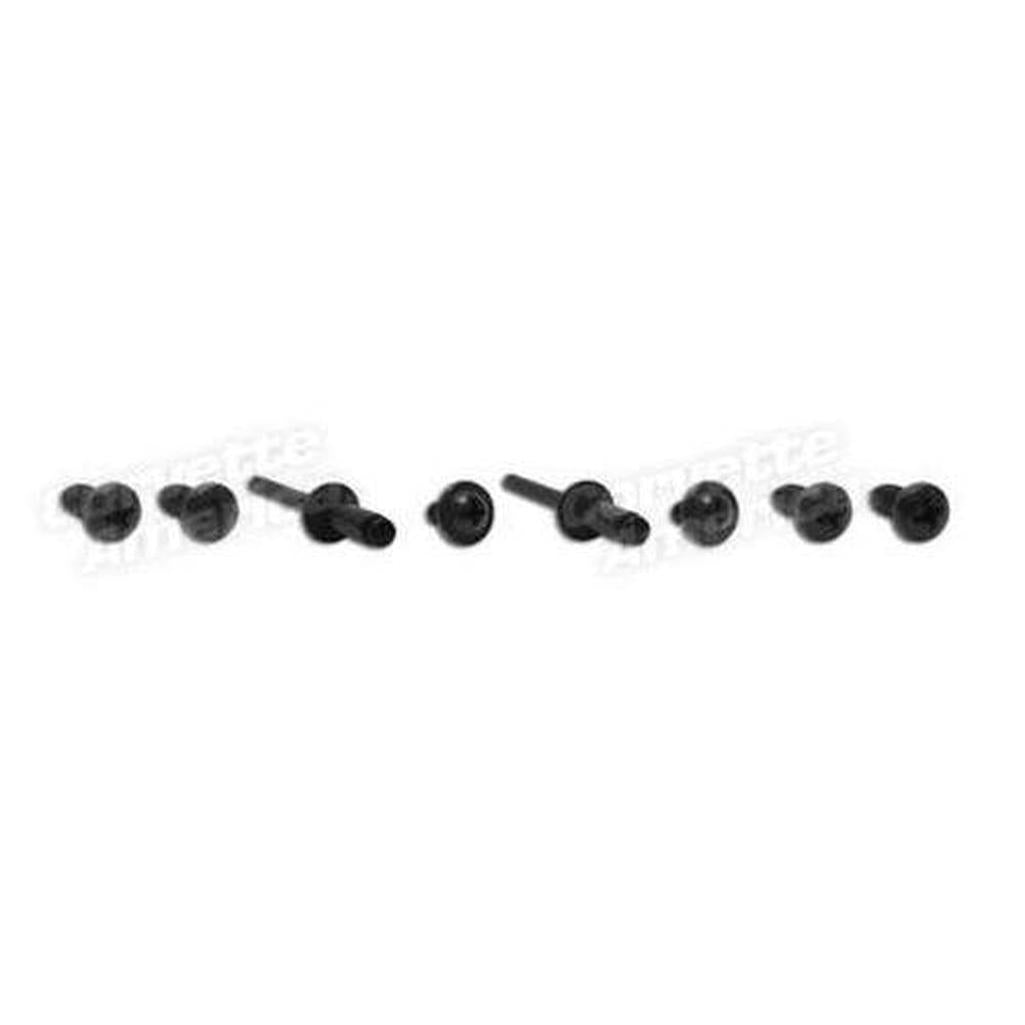 Corvette Weatherstrip Retainer Screws. Body Hinge Pillar Coupe: 1963-1967